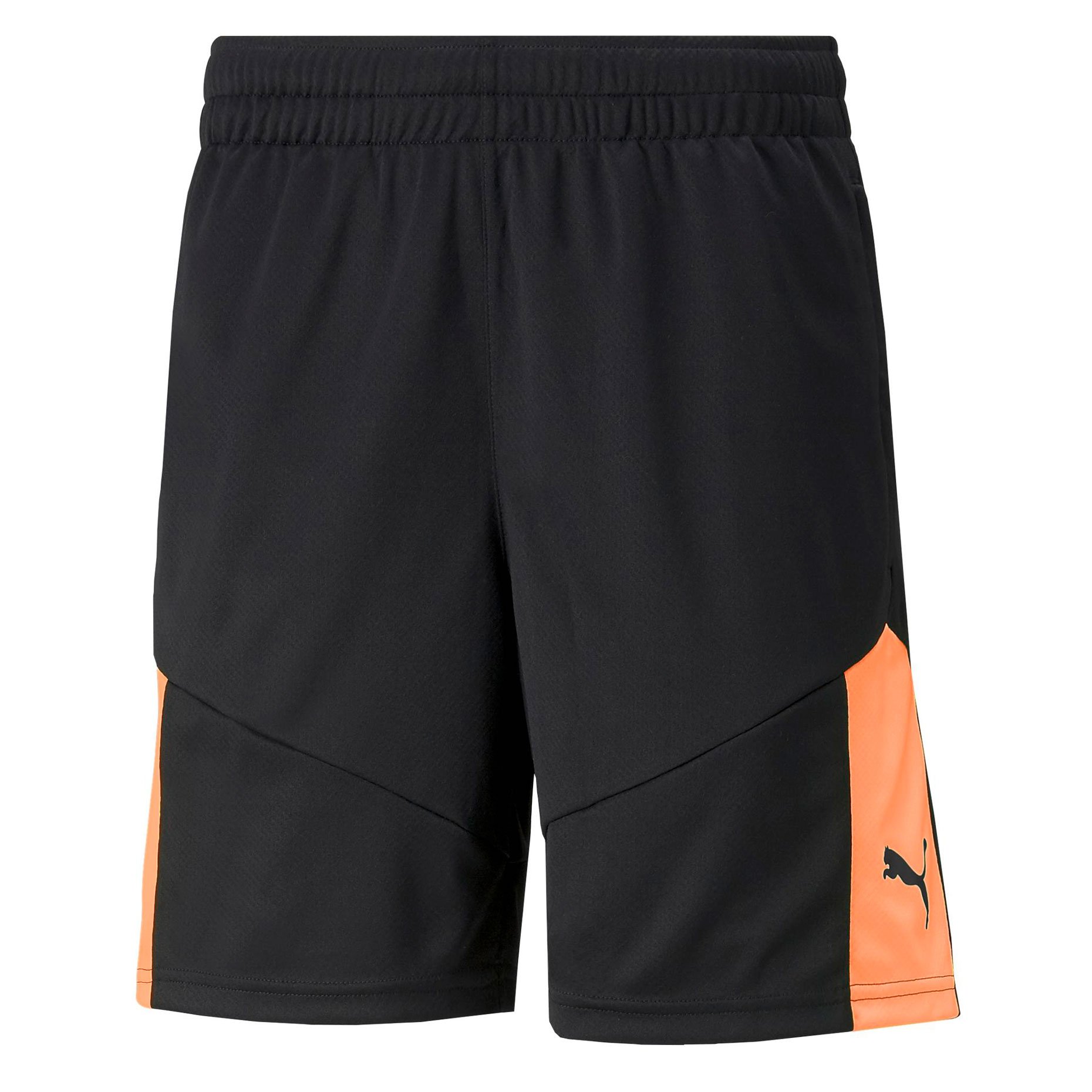 Puma IndividualFINAL Training Shorts 65795245 Footballmania