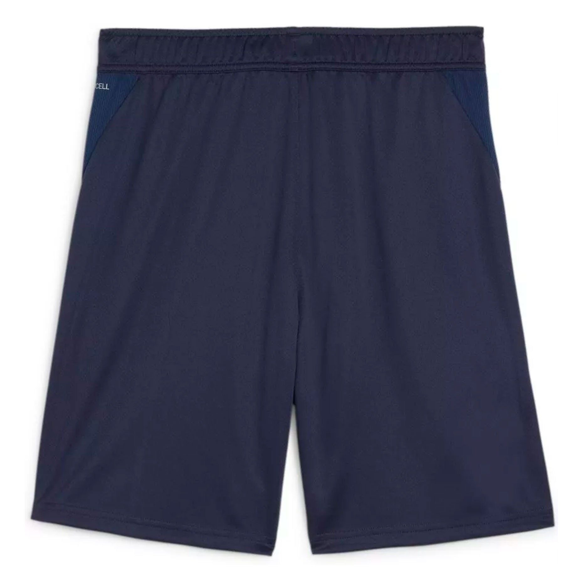 Puma teamGOAL Training Short 65864306 Footballmania