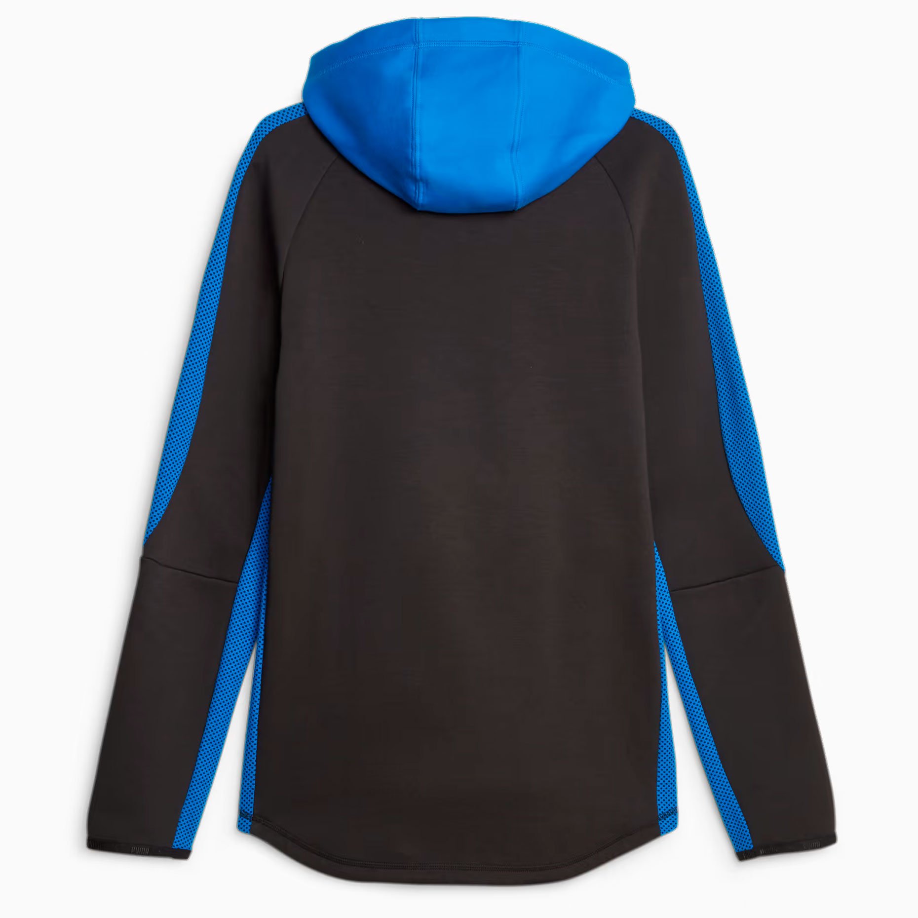 Puma Evostripe Hoodie DK 67592947