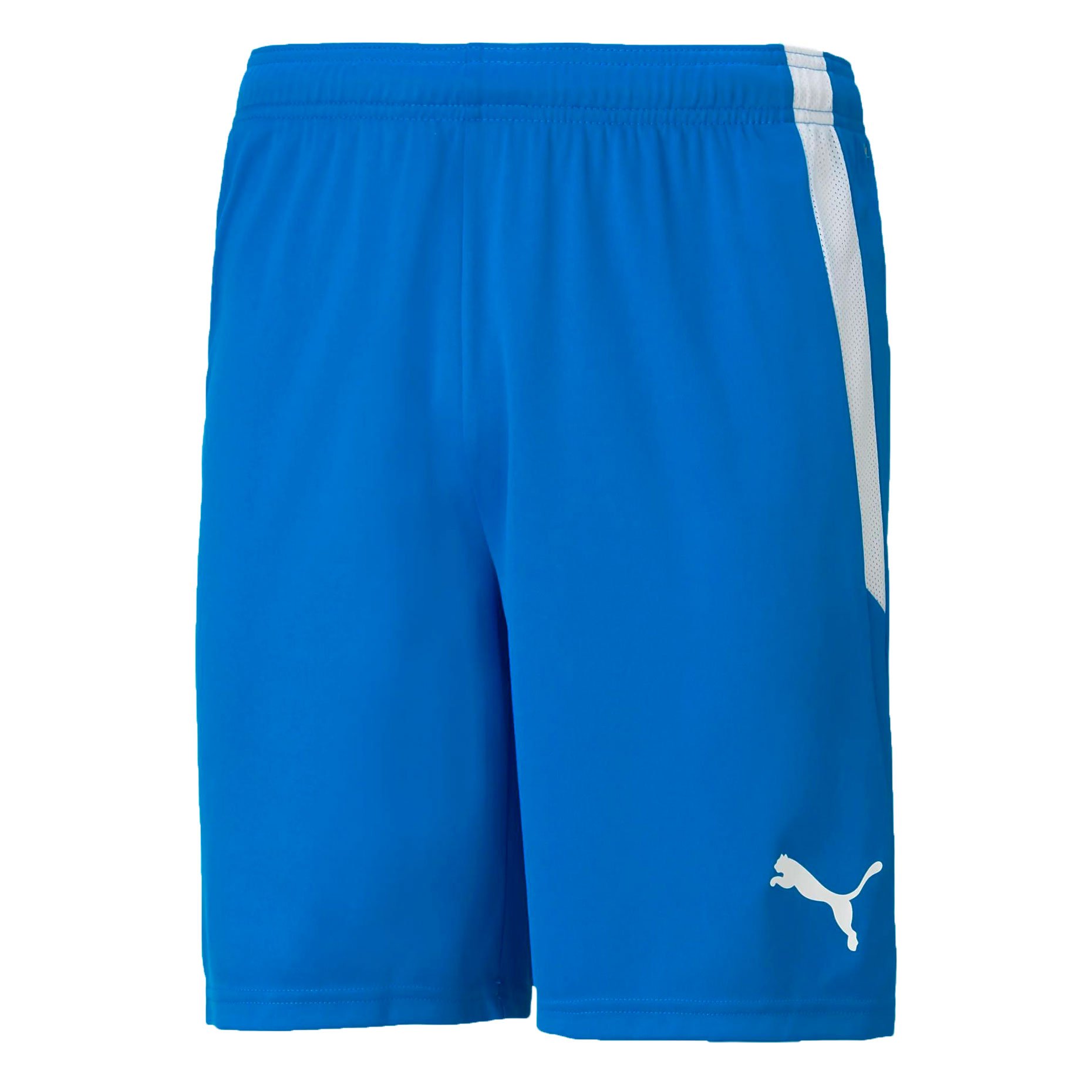 Puma teamLIGA Shorts 70492402 Footballmania