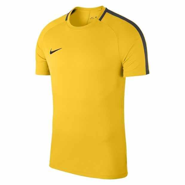 Men's Nike Dry Academy 18 Football Top 