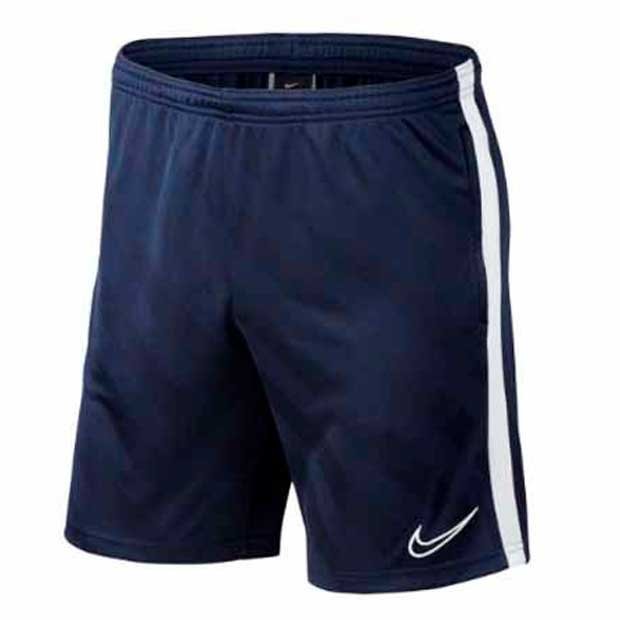 Шорты тренировочные Nike Academy19 Knit Short