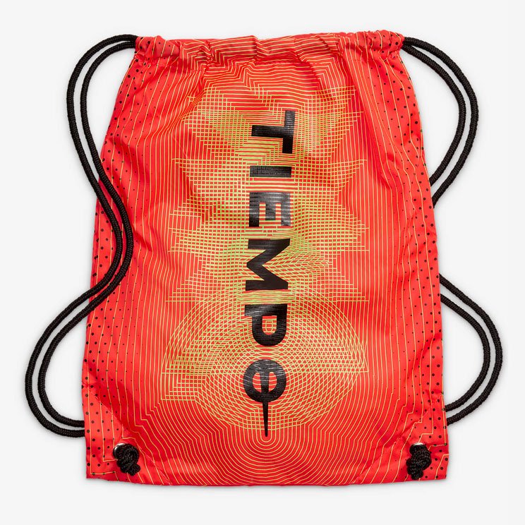 Футбольные бутсы Nike Tiempo Legend 9 Elite AG-Pro