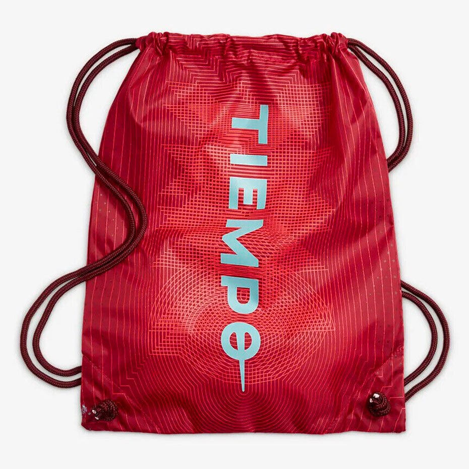 Футбольные бутсы Nike Tiempo Legend 9 Elite AG-Pro
