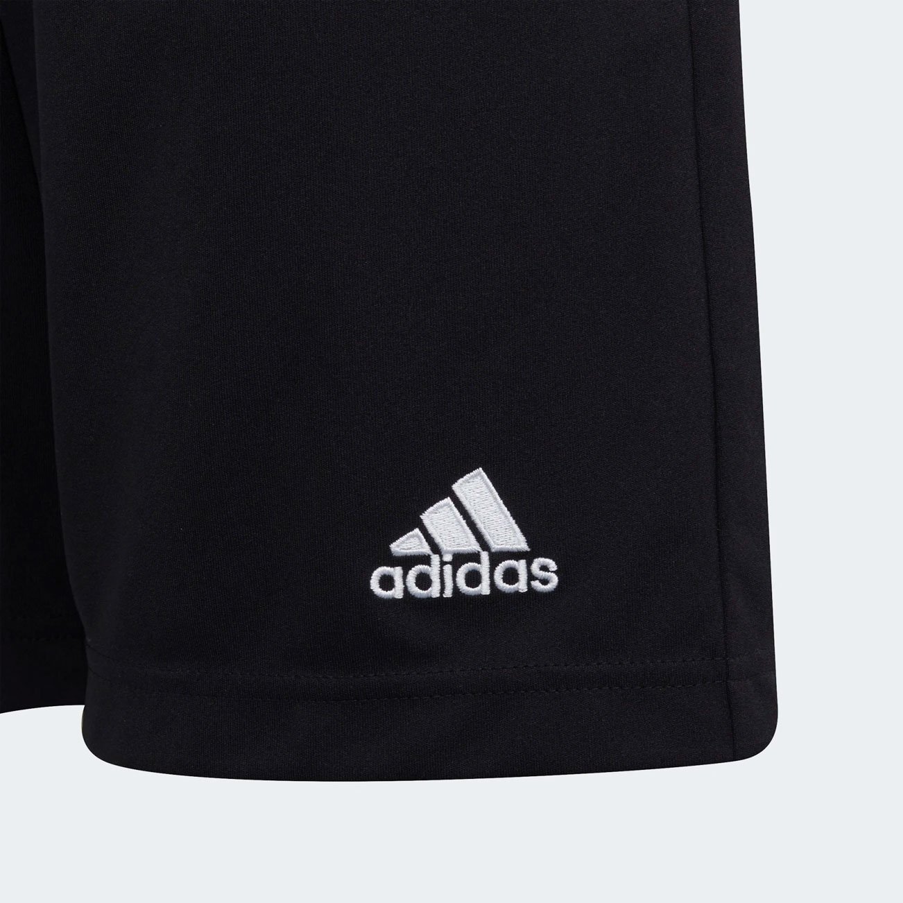 Адидас 22. Adidas entrada 22 шорты. Шорты адидас AEROREADY. Entrada 22 Training shorts. Брюки adidas Kids Training Pants entrada 22 Black adidas.