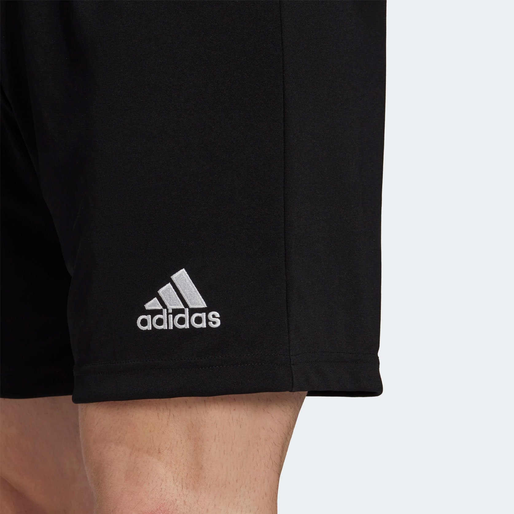 adidas Entrada 22 H57504