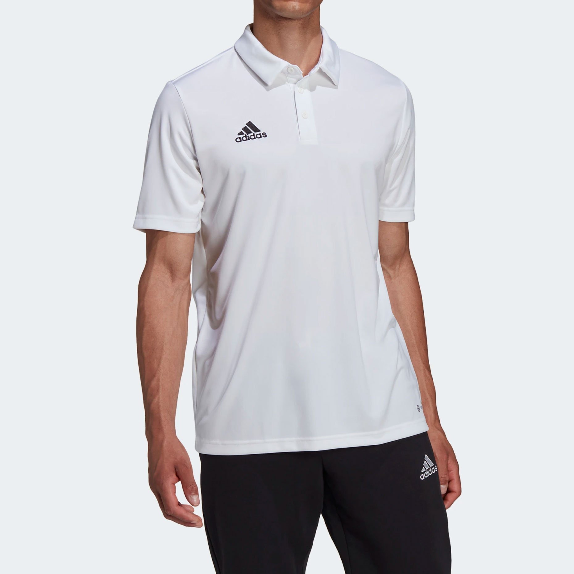 adidas Entrada 22 HC5067