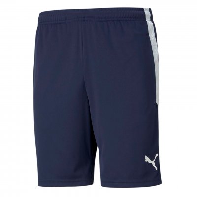 Шорты детские тренировочные Puma teamLIGA Training Shorts