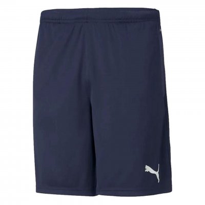 Шорты тренировочные Puma teamRISE Training Shorts Шорты тренировочные Puma teamRISE Training Shorts