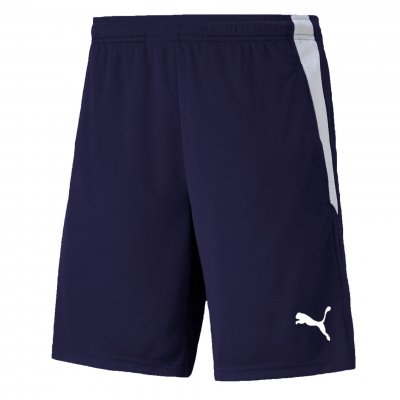 Шорты тренировочные Puma teamLIGA Training Shorts