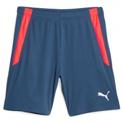 Шорты тренировочные Puma teamLIGA Training Shorts