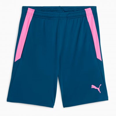 Шорты тренировочные Puma teamLIGA Training Shorts