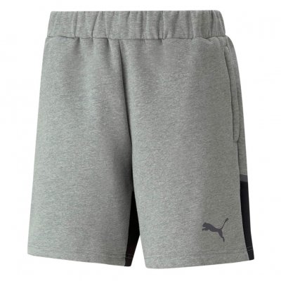 Шорты Puma teamCUP Casuals Short