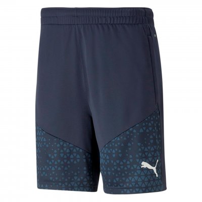 Шорты тренировочные Puma teamCUP Training Shorts