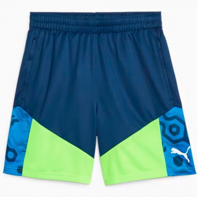 Шорты тренировочные Puma individualCUP Training Shorts