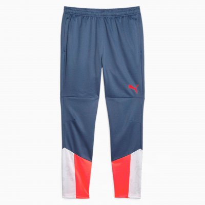 Брюки тренировочные Puma individualCUP Training Pants