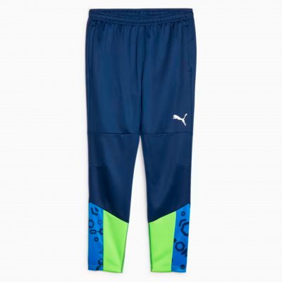 Брюки тренировочные Puma individualCUP Training Pants