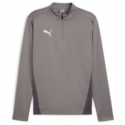 Джемпер тренировочный Puma teamGOAL Training 1/4 Zip Top