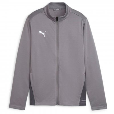 Куртка от спортивного костюма Puma teamGOAL Training Jacket