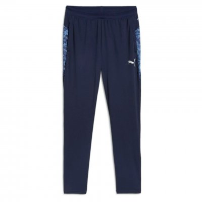 Брюки тренировочные Puma teamCUP Training Pants