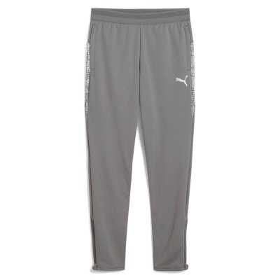 Брюки тренировочные детские Puma teamCUP Training Pants