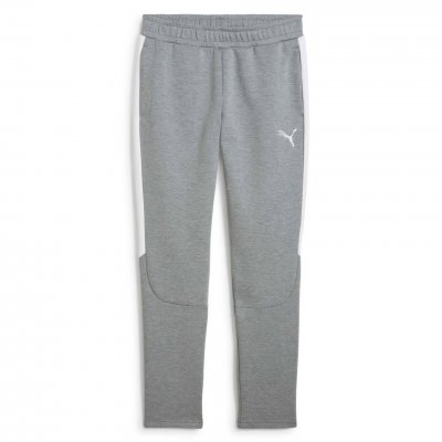 Брюки Puma teamEVOSTRIPE Pants