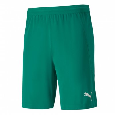 Шорты игровые Puma teamFINAL 21 knit