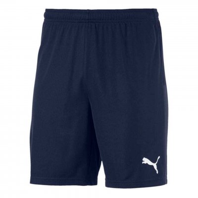 Шорты игровые Puma teamGOAL 23 knit Shorts