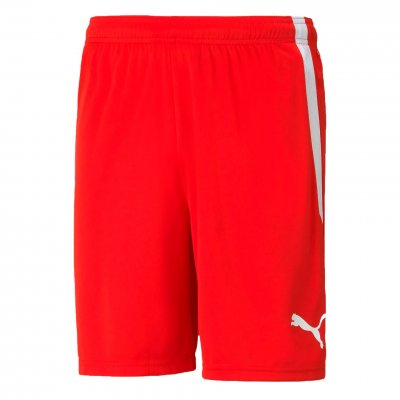 Шорты игровые Puma teamLIGA Shorts