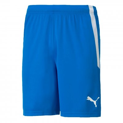 Шорты игровые Puma teamLIGA Shorts