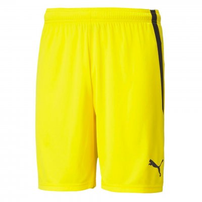 Шорты игровые Puma teamLIGA Shorts