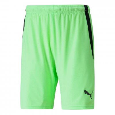 Шорты игровые Puma teamLIGA Shorts