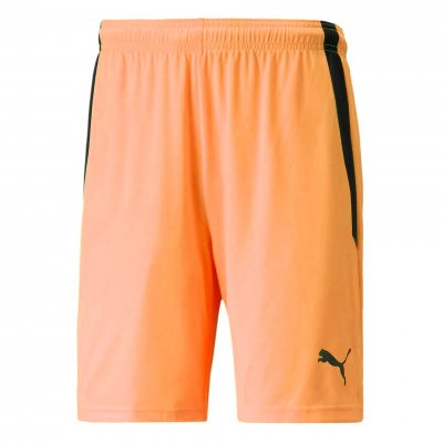 Шорты игровые Puma teamLIGA Shorts