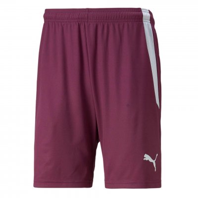 Шорты игровые Puma teamLIGA Shorts