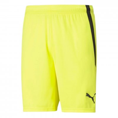 Шорты игровые Puma teamLIGA Shorts