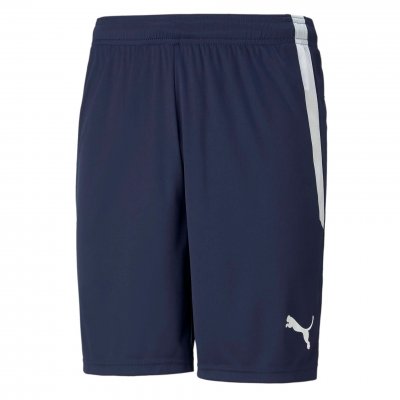 Шорты игровые Puma teamLIGA Shorts