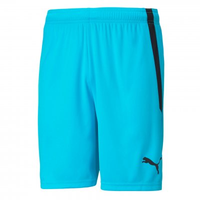 Шорты игровые Puma teamLIGA Shorts