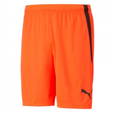 Шорты игровые Puma teamLIGA Shorts