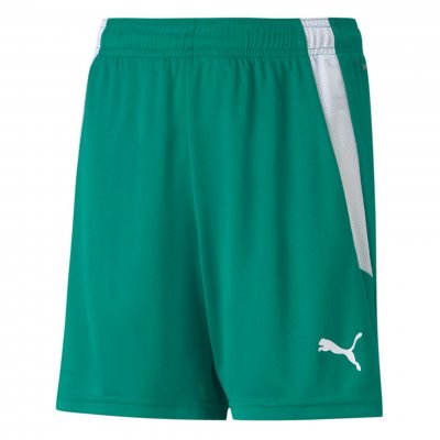 Шорты игровые детские Puma teamLIGA Shorts