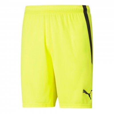 Шорты игровые детские Puma teamLIGA Shorts