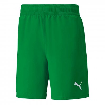 Шорты игровые Puma teamFINAL Shorts