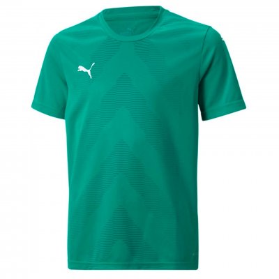 Майка игровая детская Puma teamGLORY Jersey