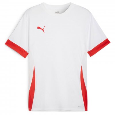 Майка игровая Puma teamGOAL Matchday Jersey