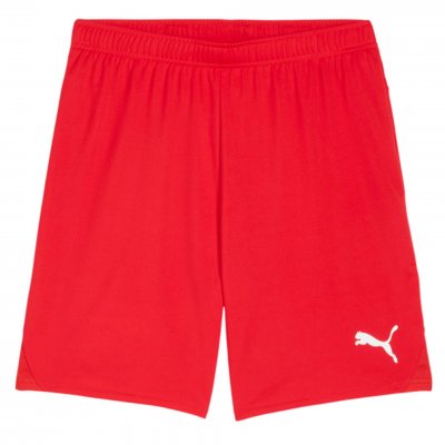 Шорты игровые Puma teamGOAL Shorts