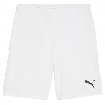 Шорты игровые Puma teamGOAL Shorts