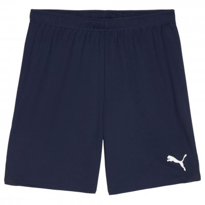 Шорты игровые Puma teamGOAL Shorts