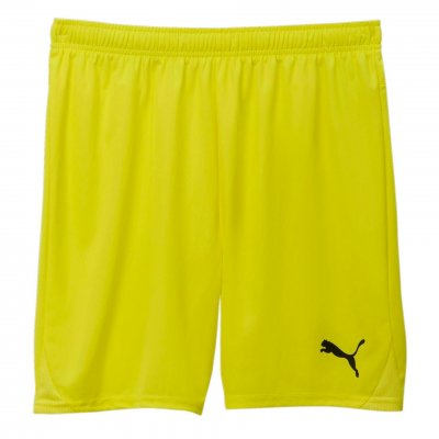 Шорты игровые Puma teamGOAL Shorts