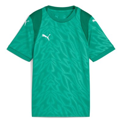 Майка игровая детская Puma teamCUP Jersey