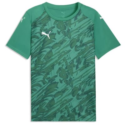 Майка игровая Puma teamFINAL Graphic Jersey