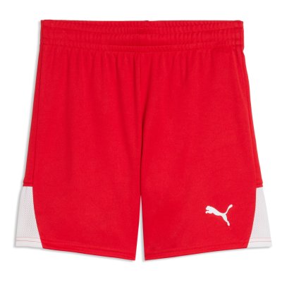 Шорты тренировочные детские Puma teamLIGA26 Shorts